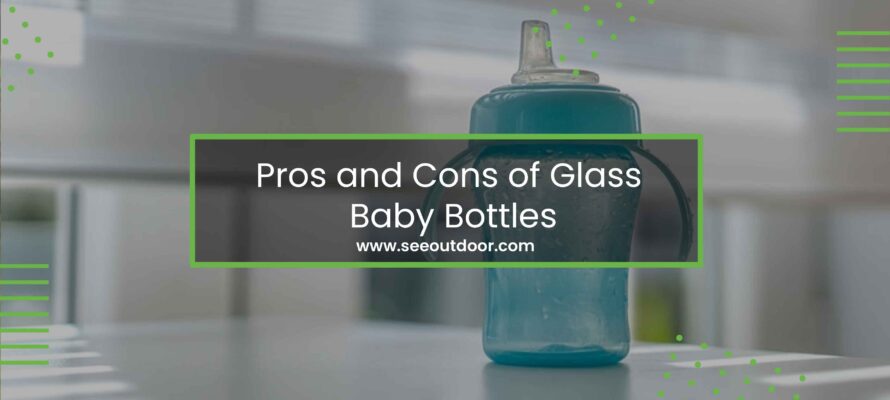 Pros and Cons of Glass Baby Bottles