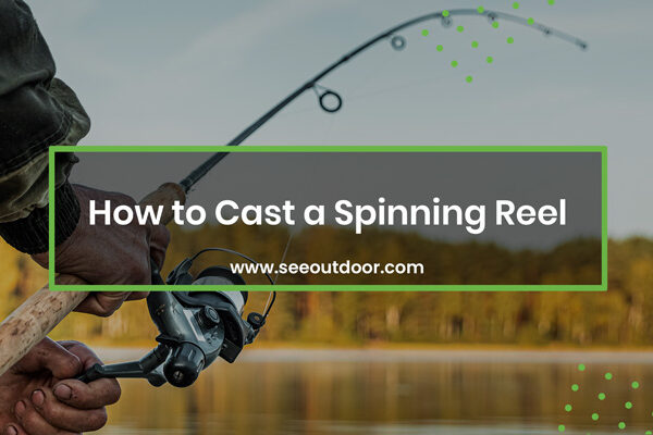 Spinning Reel