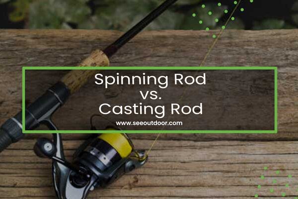 Spinning Rod vs. Casting Rod