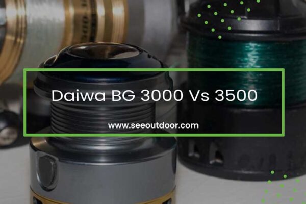 daiwa bg 3500 vs 4000