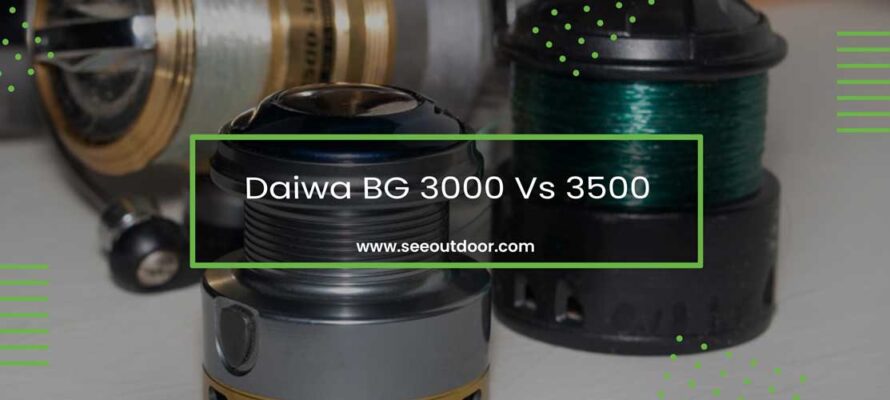 daiwa bg 3500 vs 4000