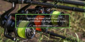 Spinning Reel Size Chart Featured Image