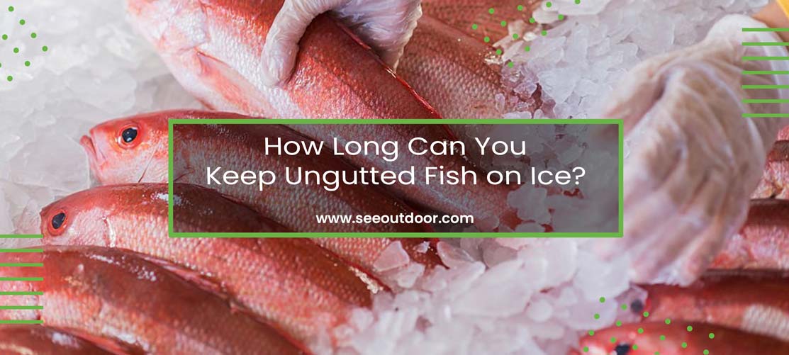 How Long Can You Keep Ungutted Fish on Ice Featured Image