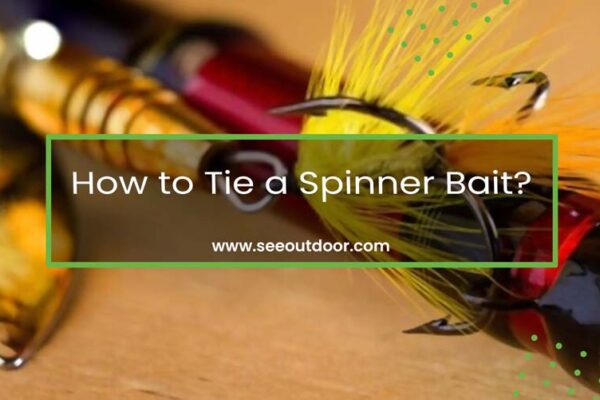 How to Tie a Spinner Bait Featured Image