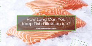How Long Can You Keep Fish Fillets on Ice Featured Image