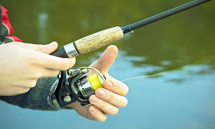 Fishing-line-sorting